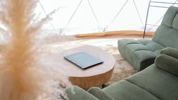 A modern interior with a green sofa, a round wooden table, and a book titled 'INFORMATION'.