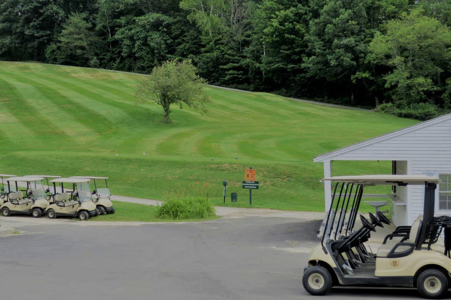 Golf