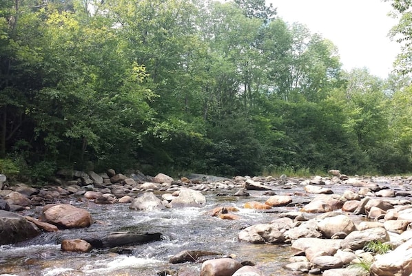 Miscellaneous - Unique and Eclectic Small Town Suite Rental in Massachusetts (Cummington)