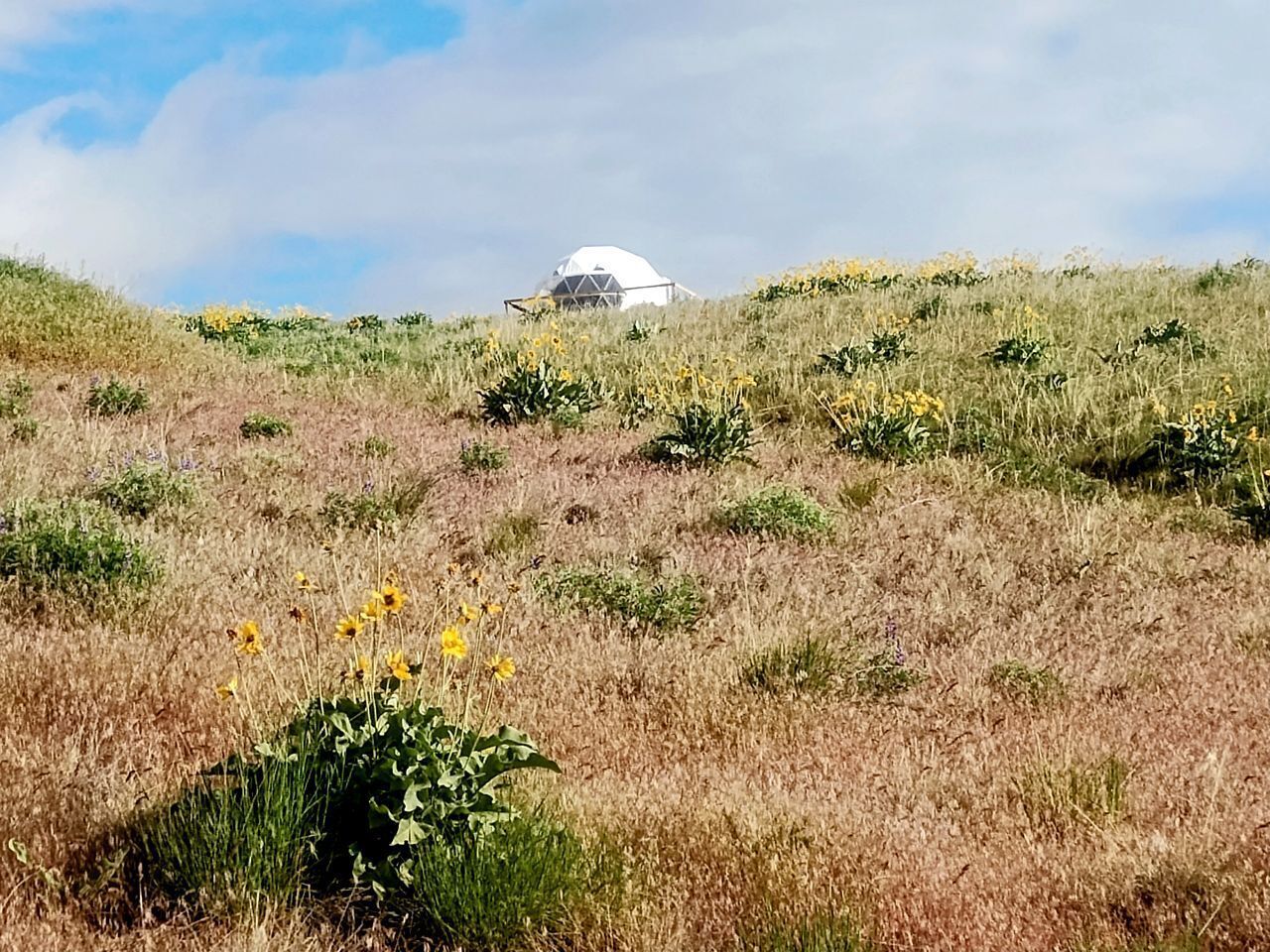 Terrain de l’hébergement 