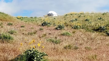 Terrain de l’hébergement