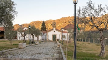 Un sentier pavé de pierres menant à un bâtiment blanc avec une porte verte, entouré d’oliviers et avec une chaîne de montagnes en arrière-plan.