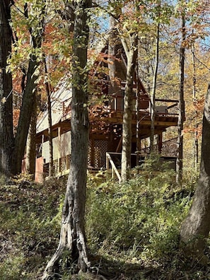 A rustic cabin with a wooden deck, surrounded by trees and foliage.