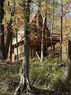 Eine rustikale Holzhütte mit einer Holzterrasse, umgeben von Bäumen und Grünpflanzen.