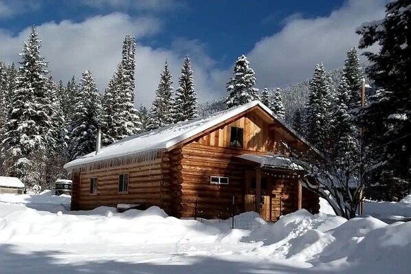 A wooden cabin surrounded by snow-covered trees.