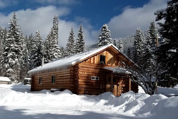 Une cabane en bois entourée d’arbres couverts de neige.