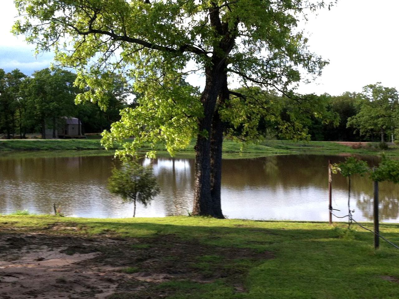 A tree-lined pond with a grassy area and a building in the background.