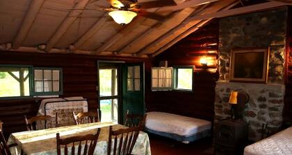Rustic Cabin Overlooking the Beautiful Seneca Lake in New York