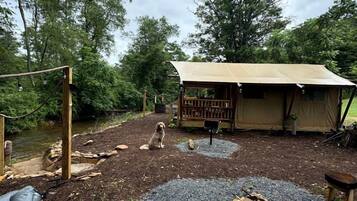 Ein Campingplatz mit Zelt, Hund und Feuerstelle.