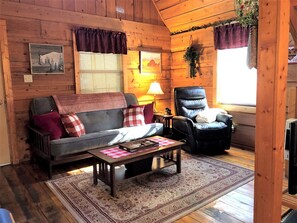TV, fireplace, DVD player, video library - Romantic Log Cabin with Hot Tub near Cherokee National Forest, Tennessee (Coker Creek)