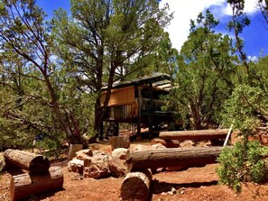 Property grounds - Rustic Tree House Rental with a Fire Pit in Bernalillo County, New Mexico (Tijeras)