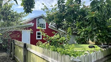 Eksteriør
