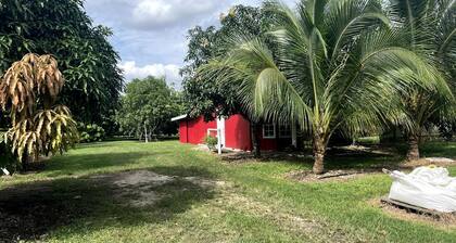 Beautiful Red Cottage for a Relaxing Getaway on a Tropical Fruit Farm near Homestead, Florida