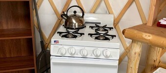 Peaceful Denali Accommodation for Yurt Glamping in Alaska