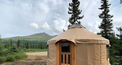 Peaceful Denali Accommodation for Yurt Glamping in Alaska