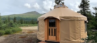 Peaceful Denali Accommodation for Yurt Glamping in Alaska