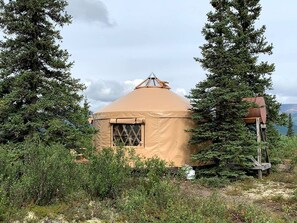 A yurt with a conical roof, a window with lattice, and surrounded by trees and vegetation.