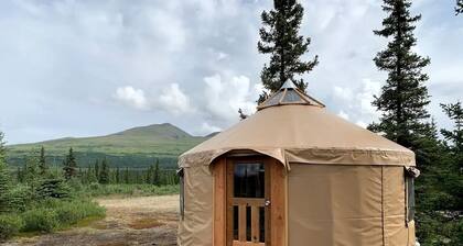 Peaceful Denali Accommodation for Yurt Glamping in Alaska