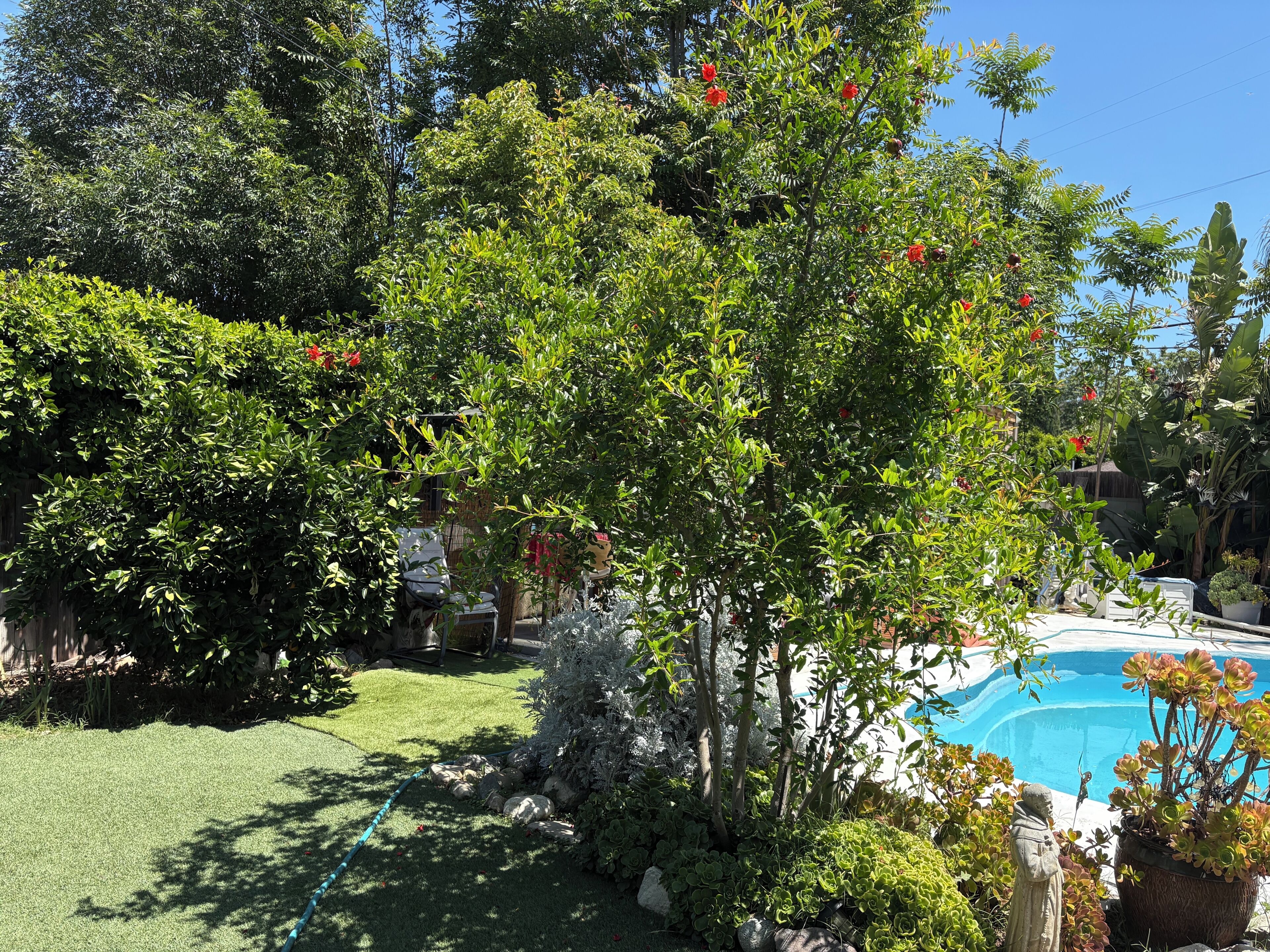 Piscina climatitzada 