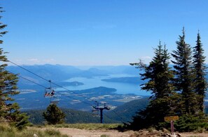 Oklassificerad bild, 4 av 11, knapp