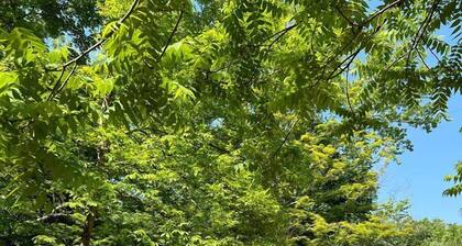 Charming Bell Tent Stay at Working Farm in Smithfield, Pennsylvania for Glamping at its Best