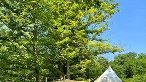 Outdoor dining - Charming Bell Tent Stay at Working Farm in Smithfield, Pennsylvania for Glamping at its Best (Smithfield)
