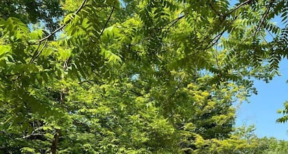 Charming Bell Tent Stay at Working Farm in Smithfield, Pennsylvania for Glamping at its Best