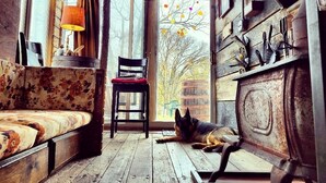 A rustic cabin interior with a wooden floor, a sofa, a chair, and a dog resting near a window.
