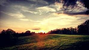 Immagine non classificata, 3 di 19, pulsante