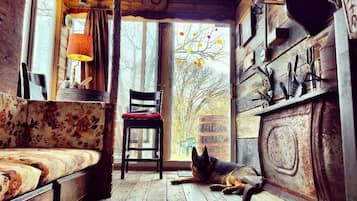 A rustic cabin interior with a wooden floor, a sofa, a chair, and a dog resting near a window.