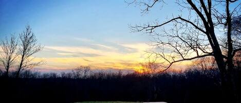 A park with a bench and trees during sunset.