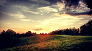 A sunset over a grassy field with trees in the background. - Rustic Container Accommodation for Glamping in Kentucky (Owenton)