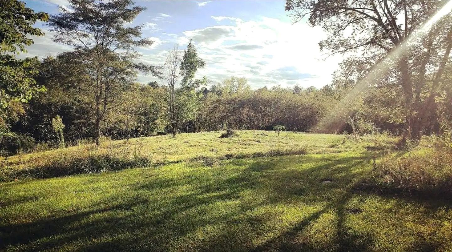 A grassy field with trees and a clear sky.