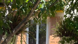 Una serie di gradini esterni che conducono a una porta, immersi nel verde e circondati da piante in vaso.