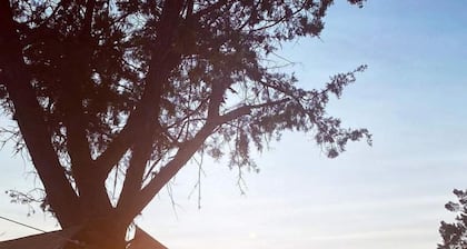 Unique Tiny House/Remodeled RV by Reese Creek