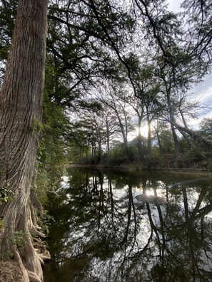 Une scène paisible de forêt, avec une étendue d’eau calme qui reflète les arbres et le ciel.
