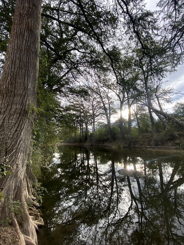 Una tranquilla scena di foresta con un corpo d'acqua calma che riflette alberi e cielo.