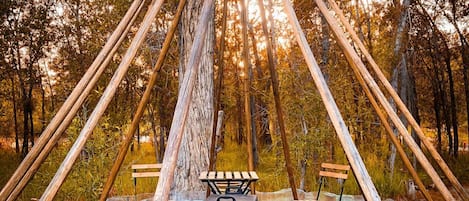 A wooden structure with a bench and a portable grill in a forest.