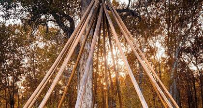 Private Tipi Rental in Paonia, Ideal for Colorado Glamping
