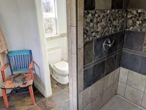 A bathroom with a shower, a toilet, and a chair.