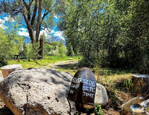 A campsite sign with 'RIVERSIDE CAMP RV TENT' written on it, surrounded by trees and a picnic table.