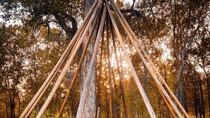 A wooden structure with a bench and a portable grill in a forest. - Riverside Campsite in Colorado (Paonia)