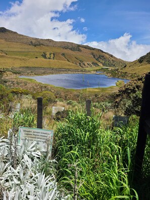 Àrea exterior de l'allotjament