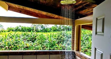 Ocean View King Rental near Akaka Falls, Hawaii