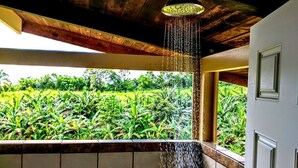 Property grounds - Ocean View King Rental near Akaka Falls, Hawaii (Pepeekeo)