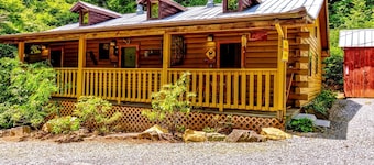 Cozy Creekside Cabin Rental near Cherokee, North Carolina