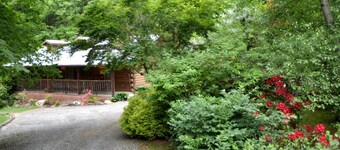 Cozy Creekside Cabin Rental near Cherokee, North Carolina