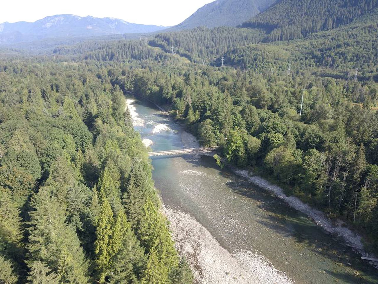 Ein Fluss schlängelt sich durch einen dichten Wald, eine Brücke überspannt ihn.
