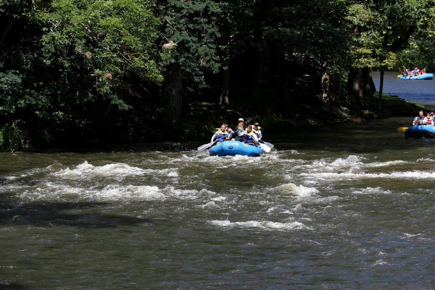 A group of people rafting on a river surrounded by dense foliage.