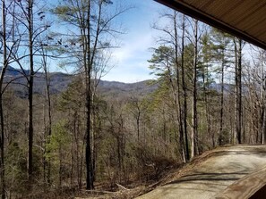 A road curving through a forest with mountains in the background.